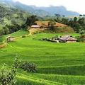 Nậm Ty