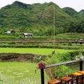 Khu vực Mậu Duệ