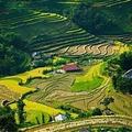 Ruộng bậc thang Bản Luốc