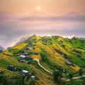 Ruộng bậc thang Bản Phùng