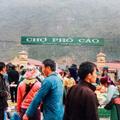 Phố Cáo