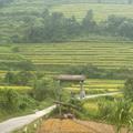 Thôn Khuổi My